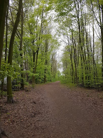 Kleingartenverein Gartenfreunde Sulzbachtal e.V.