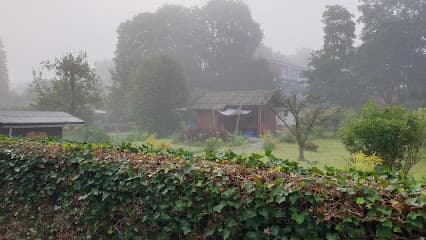 Gartenverein "Unter den Linden"