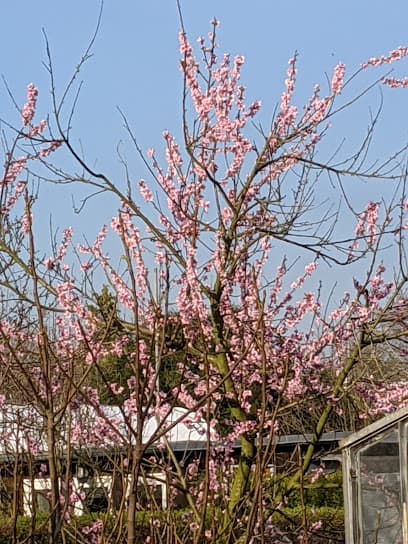 Kreisverband Kölner Gartenfreunde e.V.