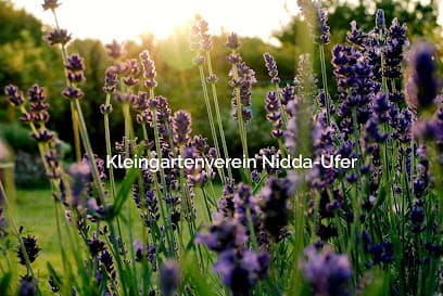 Kleingärtnerverein Nidda - Ufer e.V.