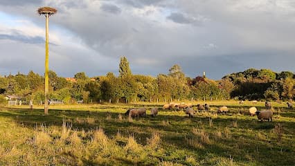 Kleingarten "Leineblick"