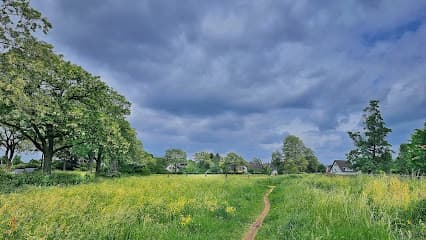Kleingartenverein „Am Schwarzen Weg“