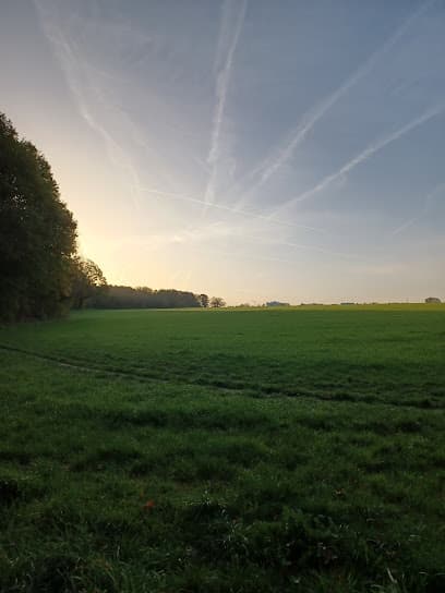 Gartenverein Kleyberg e. V.