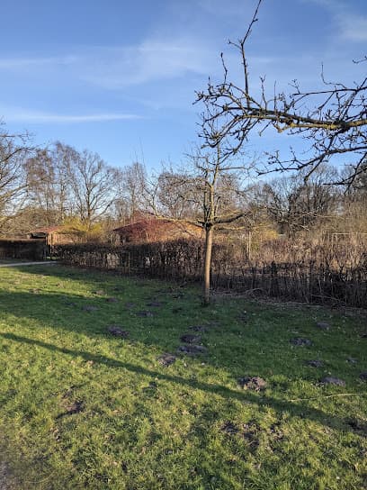 Kleingartenanlage