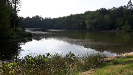 Gemeinschaft der Gartenfreunde Büsnauer Rain e.V.