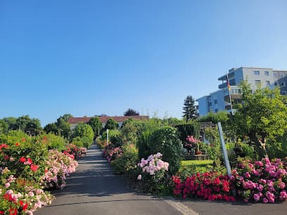 Gartenverein "Walter Engelberg" e.V.