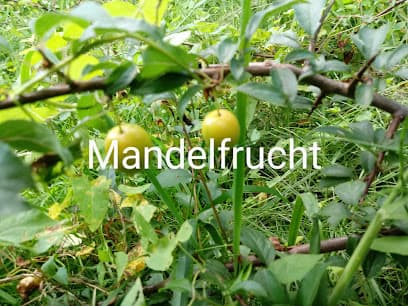 Initiative gute Gemeinschaft in Kleingärten