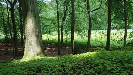 Kgv Moorbachtal