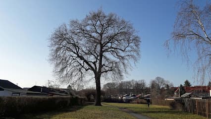 Kleingartenverein „Am Anton-Günther-Park e.V.“
