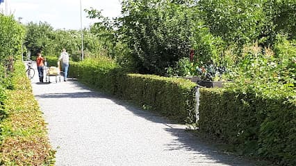 KGV Modersohns-Kamp e.V.