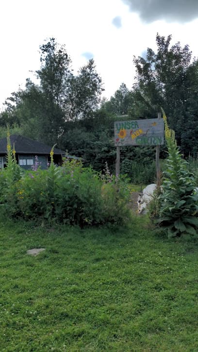Hansa Kleingarten
