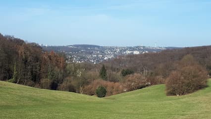 Kleingärtnerverein In den Stöcken e.V.