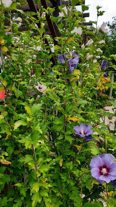Altfrankener Gartenfreunde e.V.