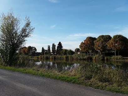 Kleingärtnerverein Tannenberg-Allee e. V.