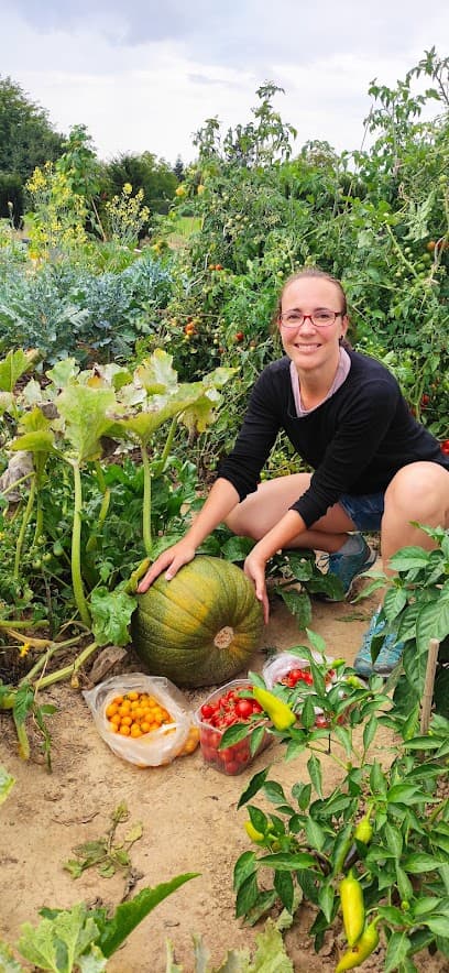 meine ernte - Gemüsegärten zum Mieten - Stuttgart-Möhringen Fläche 1